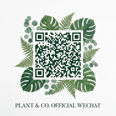 抖阴公众号二维码